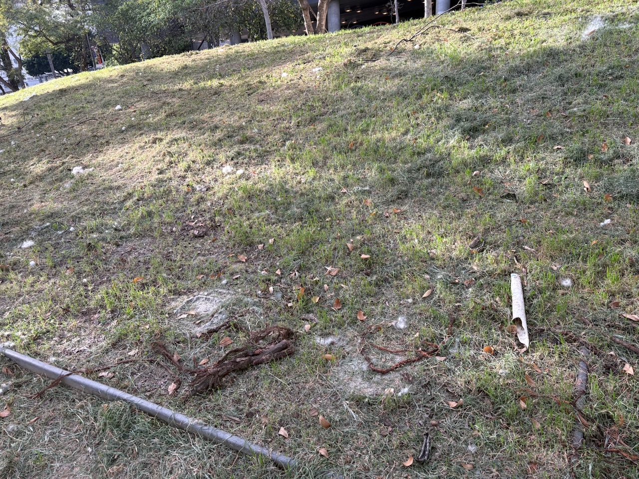 The patch of ground where the bench from the film used to stand